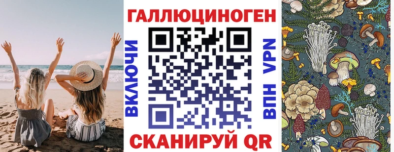 Псилоцибиновые грибы Psilocybe Рубцовск